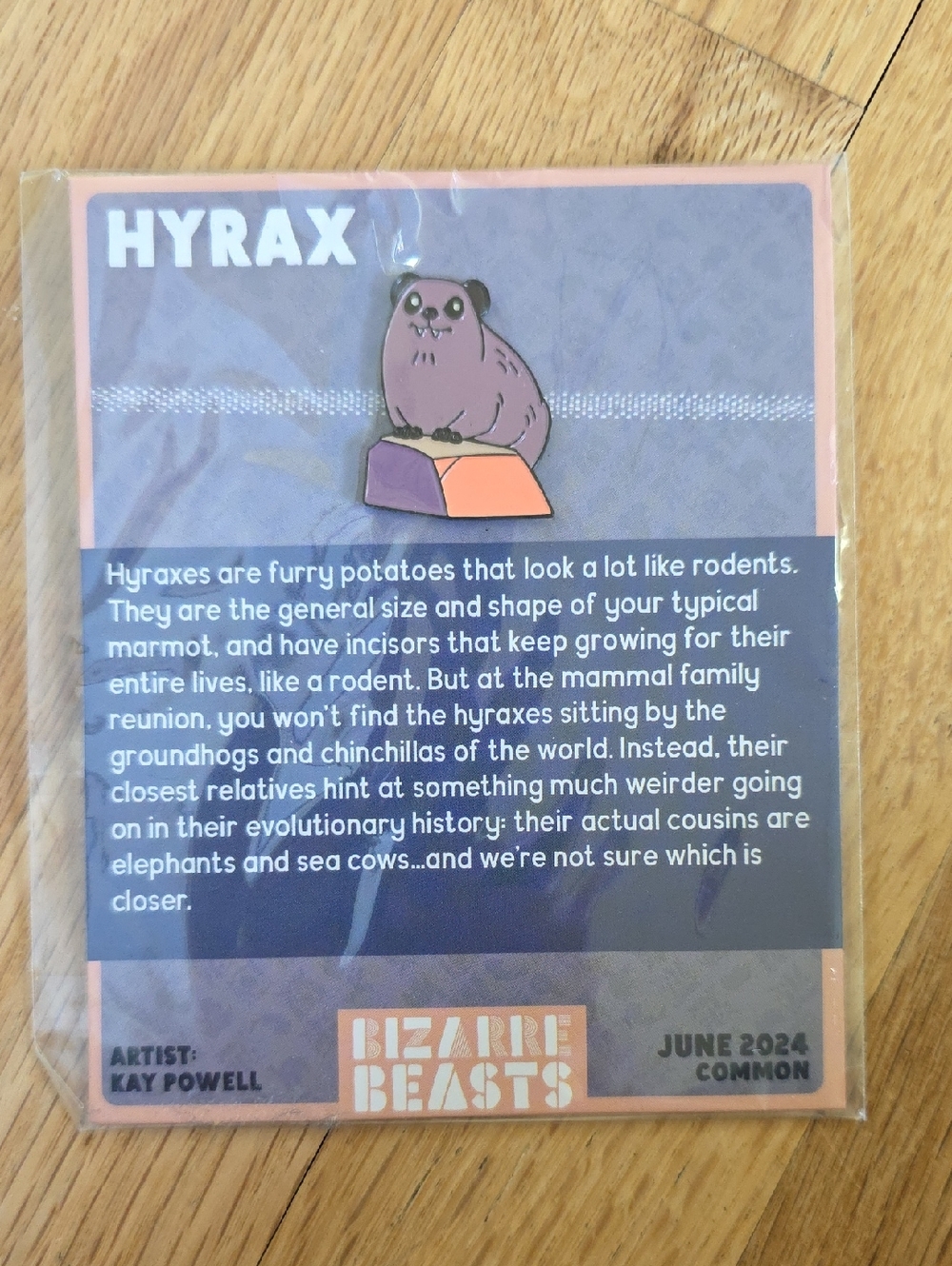Bizarre Beasts Enamel Pin Common June 2024 Hyrax